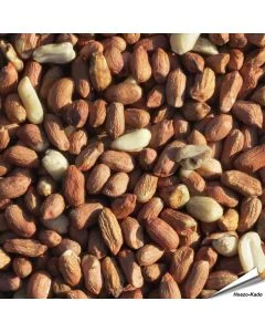 Hochwertige Erdnüsse, speziell für Wildvögel - www.allesfuervoegel.de