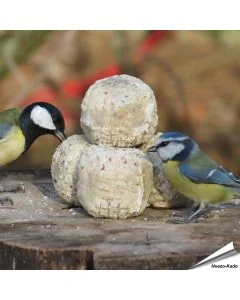 Energie- und proteinreiche Meisenknödel ohne Netz in Premium-Qualität ✓ Mit Insekten und Mehlwürmer ✓ Hoher Fettgehalt ✓ Online bei www.allesfuervoegel.de