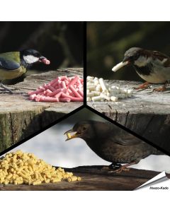 Probierpaket - Leckerbissen für Wildvögel - Online bei Alles für Vögel