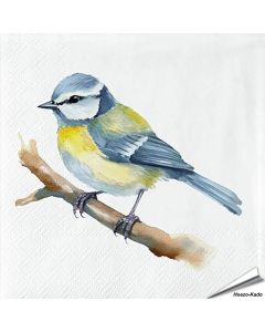Servietten - Blaumeise - Motiv | 20 Stück | Hoezo-Kado