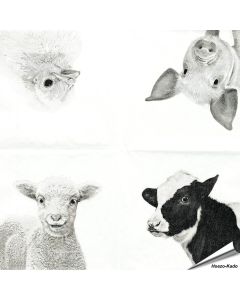 Hochwertige 3-lagige Servietten mit Bauernhoftieren-Motiv ✔️ Bringe das Landleben auf den Tisch ✔️ FSC-zertifiziert, biologisch abbaubar ➤ Bestelle bei Alles für Vögel