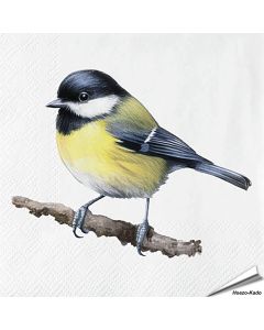 Servietten - Kohlmeise - Motiv | 20 Stück | Alles für Vögel