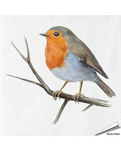 Servietten - Rotkehlchen - Motiv | 20 Stück | Alles für Vögel