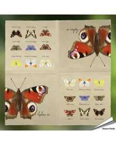 Servietten - Schmetterlinge (20 Stück)