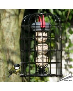 Meisenknödelhalter mit Schutzkorb & Premium - Insektenfettknödel (8 x 90g)