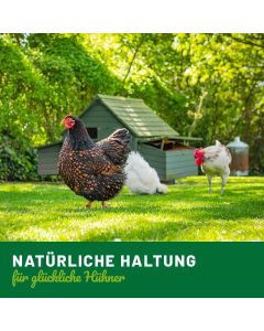 Stallruhe-Spray für Hühner & Wachteln