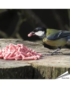 Leckerbissen mit Beeren für Wildvögel - www.allesfuervoegel.de