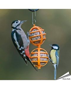 Robuster, doppelter Meisenknödelhalter für Gartenvögel ✔️ Einfach zu befüllen & aufzuhängen ✔️ Für Meisenknödel ohne Netz ➤ Bestelle bei Hoezo-Kado
