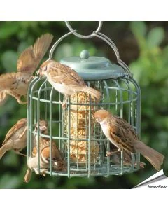 Ovale Futtersäule in Meergrün mit Schutzkäfig – Futterspender für Meisenknödel oder Energieblöcke, geeignet für kleine Wildvögel - Alles für Vögel