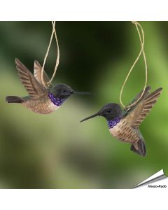 Schwarzkinnkolibris (Archilochus alexandri) | Handgeschnitzt | Online bei Alles für Vögel