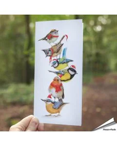 Witzige Weihnachtskarte mit Gartenvögeln ✔️ Handgezeichnet ✔️ Doppelkarte blanko ✔️ FSC-Papier ➤ Jetzt bei Alles für Vögel bestellen