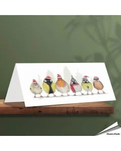 Weihnachtskarte mit verschiedenen Singvögel - Von Hand gezeichnet - www.allesfuervoegel.de