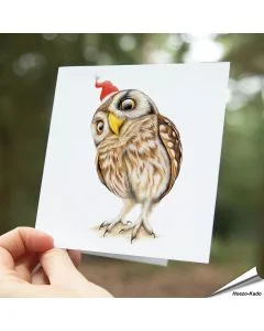 Fröhliche Weihnachtskarte mit dem Steinkauz in Feierstimmung ✔️ Hand gezeichnet ✔️ Doppelkarte mit leerem Inneren ✔️ FSC-Papier ➤ Alles für Vögel Shop