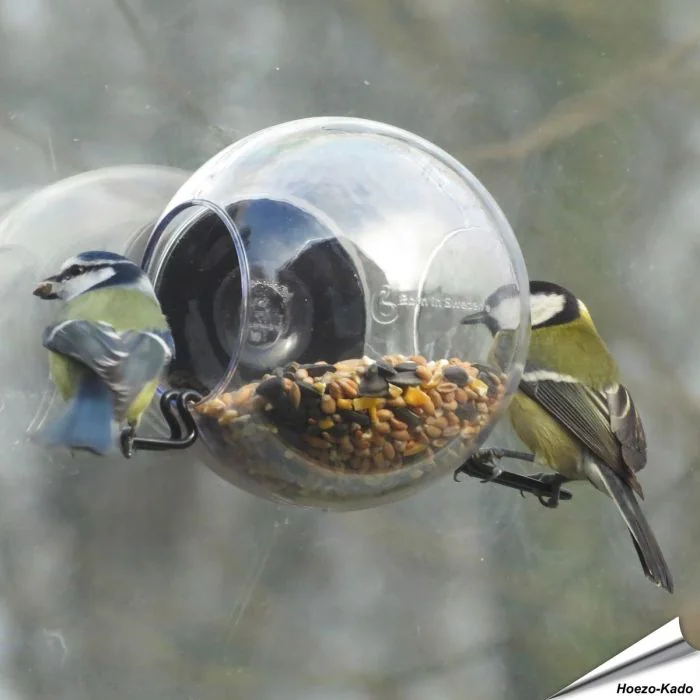 London Meisenknödelhalter | Vogelfutterhäuser | Vogelfutterspender | Vögel | LBV-Naturshop