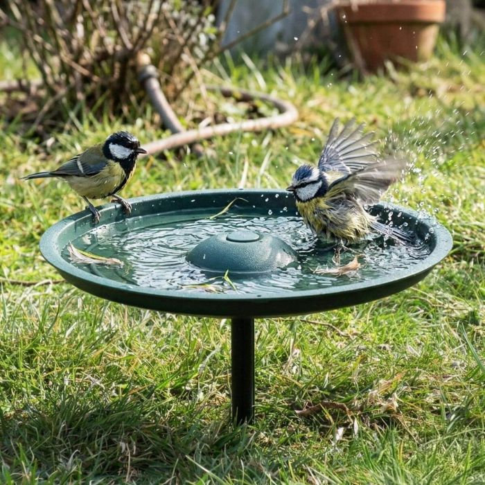 Aniculis MultiChoice Wassertränke für Wildvögel kaufen. Vielseitiges Vogelbad mit 35,7 cm Durchmesser, 2 Liter Inhalt und 4 Montagemöglichkeiten.