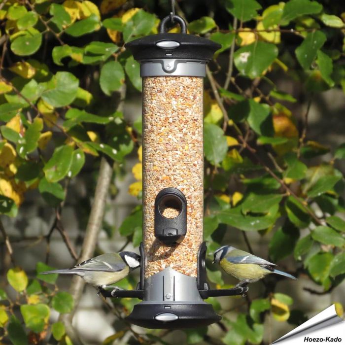 Apollo Futtersilo für Samen - Empfohlen von Vogelbescherming Nederland - www.allesfuervoegel.de