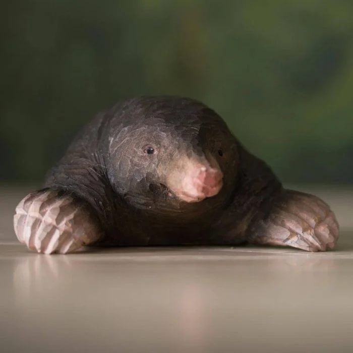 DecoAnimal Maulwurf von Wildlife Garden auf einer Holzfläche, mit dunkelbraunem Fell, rosafarbener Schnauze und breiten Grabpfoten mit hellen Krallen.