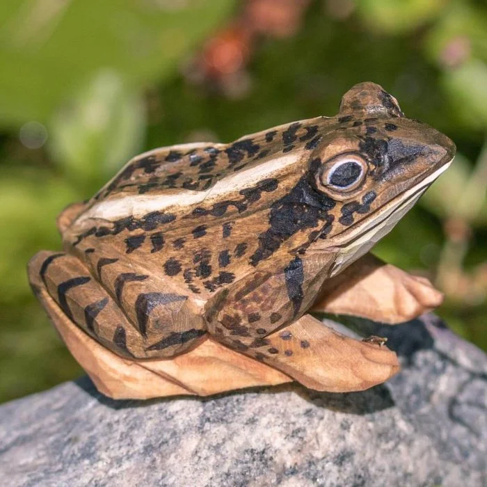 DecoAnimal Moorfrosch aus Holz von Wildlife Garden mit braun geflecktem Rücken, großen Augen und angewinkelten Beinen auf einem grauen Stein.