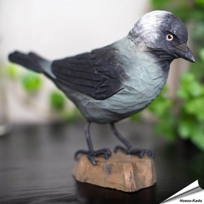 Dohle (Corvus monedula) | Handgeschnitzt | Online kaufen | Alles für Vögel