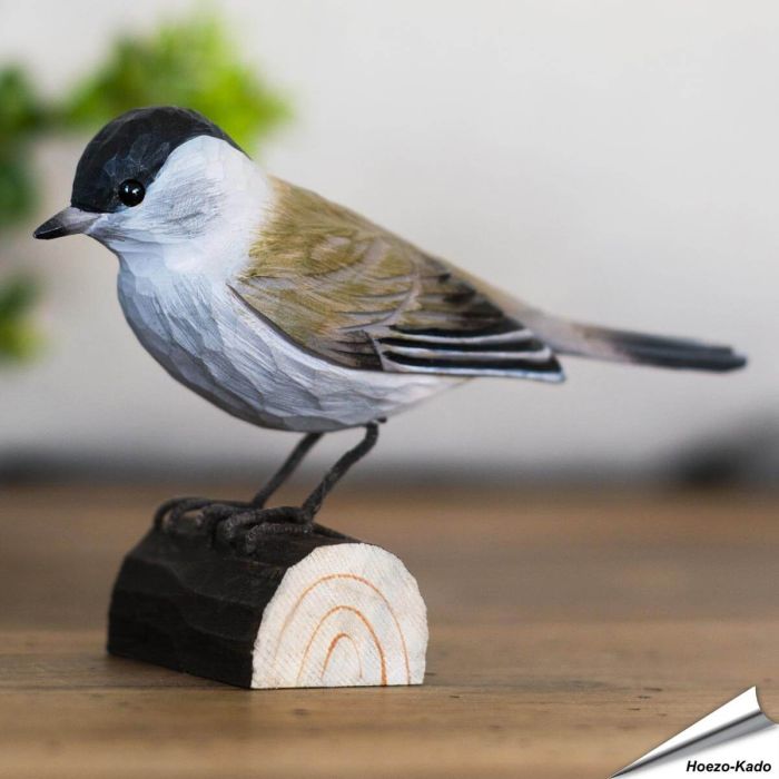 Mönchsgrasmücke (Sylvia atricapilla) | Handgeschnitzt | Online kaufen - Alles für Vögel