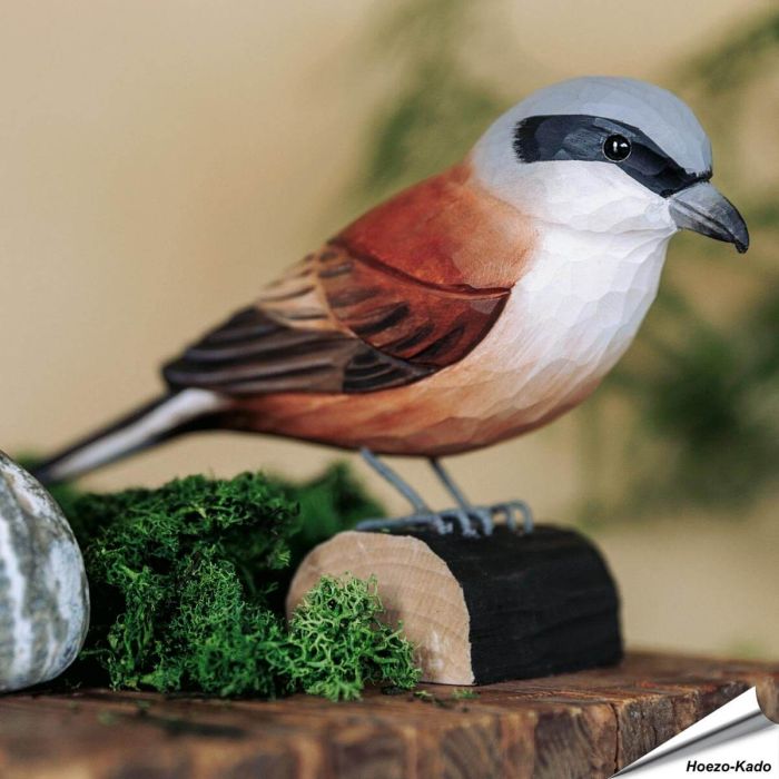 Handgeschnitzter Neuntöter in Naturgrösse ✔️ Mit Farben naturgetreu bemalt ✔️ Originelles Geschenk für Vogel- und Naturliebhaber ✔️ Kaufe online bei Alles für Vögel