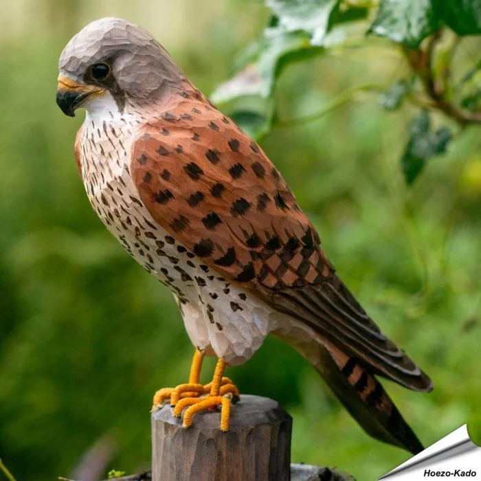 Handgeschnitzter Turmfalke aus Holz mit grauem Kopf, rotbraunem Rücken und feiner Brustzeichnung. Geschenkidee für Vogel- und Naturfreunde.