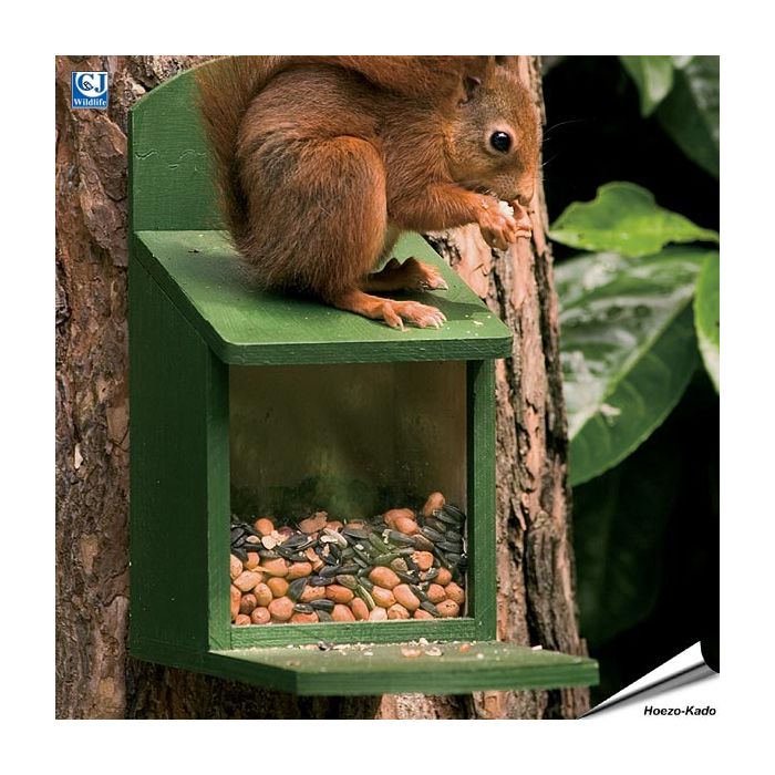 Eichhörnchen-Futterautomat