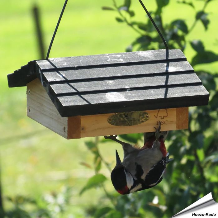 Energieblockhalter mit Dach ✔️ Einfachen Zugang zum Futter für agile Vögel wie Spechte, Meisen, Kleiber, Zeisige ✔️ Stabile Holz-Konstruktion ➤ Alles für Vögel