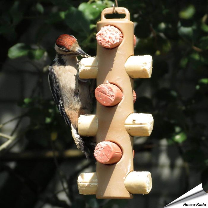 Energierollen-Halter für 6 Energierollen - Futterplatz für Wildvögel - Alles für Vögel