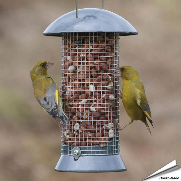 Metall-Futtersäule zum füttern von Wildvögel - Mit Maschendraht - www.allesfuervoegel.de