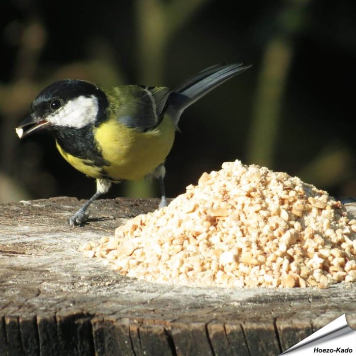 Fein gehackte Premium Erdnüsse (5 kg)