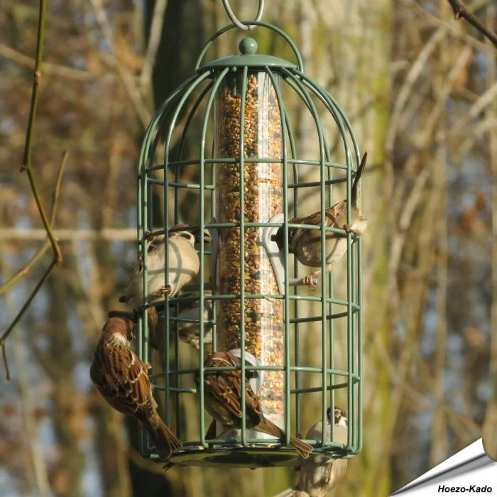 Stelle sicher, dass deine Vögel immer genug zu fressen haben mit unserem Futtersilo mit Schutzkäfig für Sämereien!