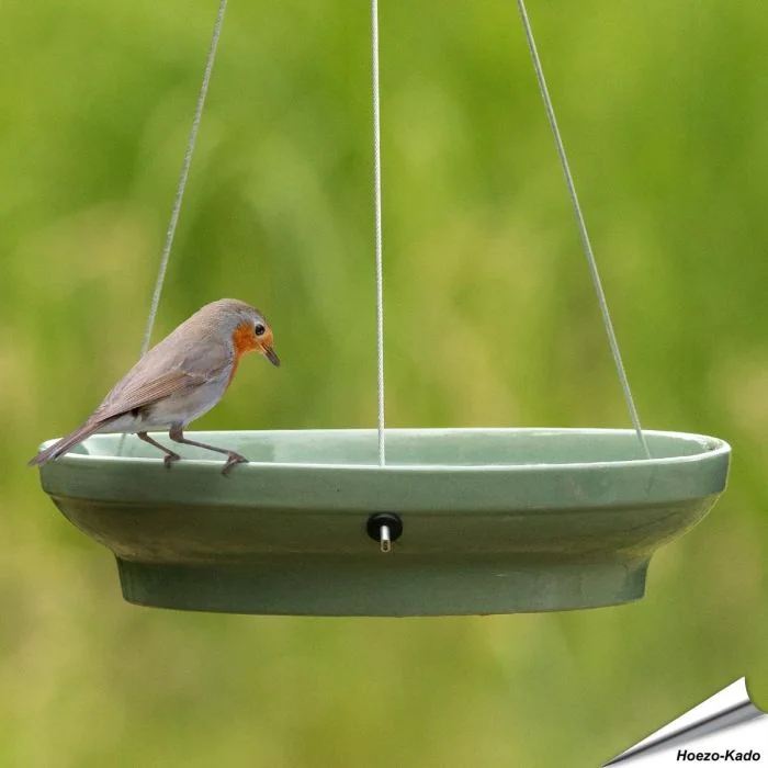 Hängende Wasserschale für Vögel (grün)