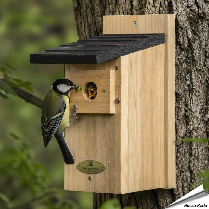 Stabiler Nistkasten aus FSC-Holz ✔️ 32 mm Einflugloch für Meisen & Kleiber ✔️ Mit Schutz vor Nesträubern - Sichere Nisthilfe für Gartenvögel ➤ Alles für Vögel