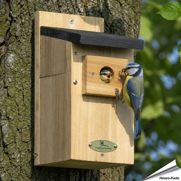 Hölzerner Nistkasten mit 28mm Einflugloch ✔️ Ideal für Blaumeisen & kleine Meisen ✔️ FSC-Holz ✔️ Mit Schutz vor Nesträubern ➤ Jetzt entdecken