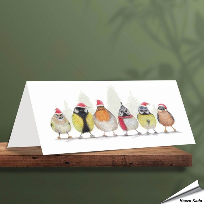 Weihnachtskarte mit verschiedenen Singvögel - Von Hand gezeichnet - www.allesfuervoegel.de