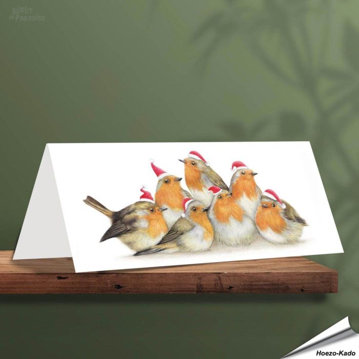 Weihnachtskarte - Mit Rotkehlchen-Motiven - Von Hand gezeichnet - www.allesfuervoegel.de