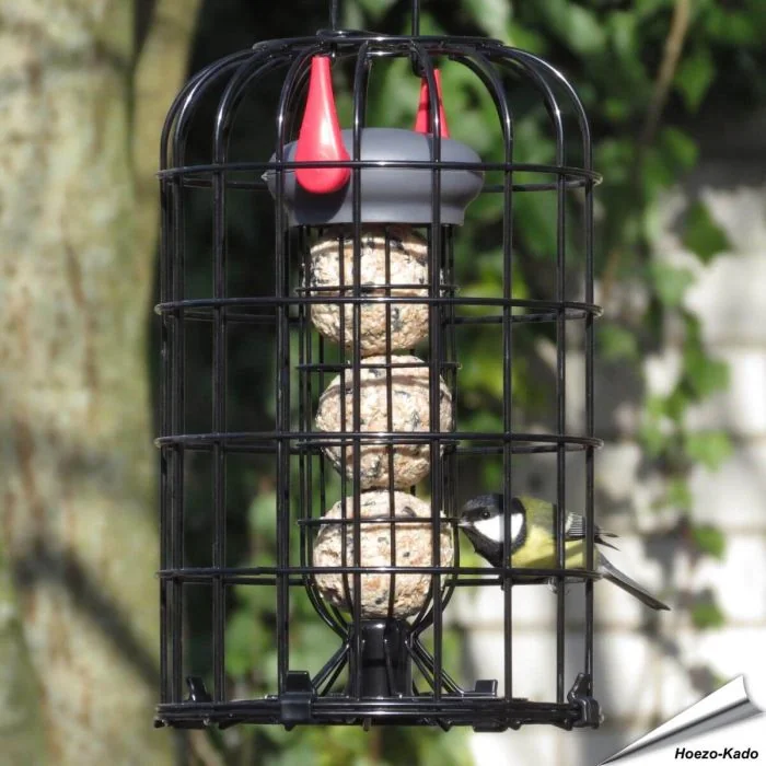 Robuster Meisenknödelhalter mit Schutzkorb für kleine Gartenvögel. Hält Eichhörnchen und große Vögel fern und bietet Platz für bis zu 3 Meisenknödel.