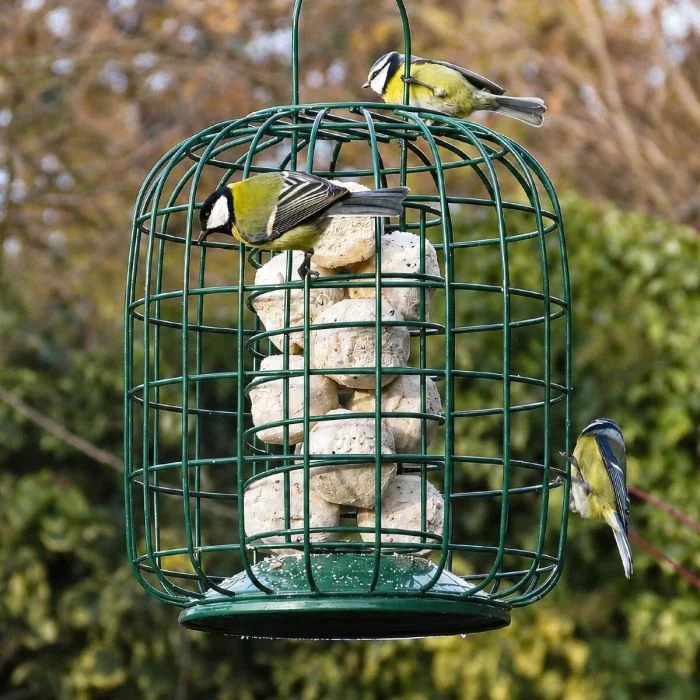 Dieser äusserst robuste Metall-Meisenknödelhalter mit Schutzkäfig bietet speziell den kleineren Vogelarten eine sichere Futterstelle. Der stabile Schutzkorb ist für kleine Gartenbesucher wie z.B. Meisen, Kleiber, Grünlinge und Sperlinge rundum zugänglich,