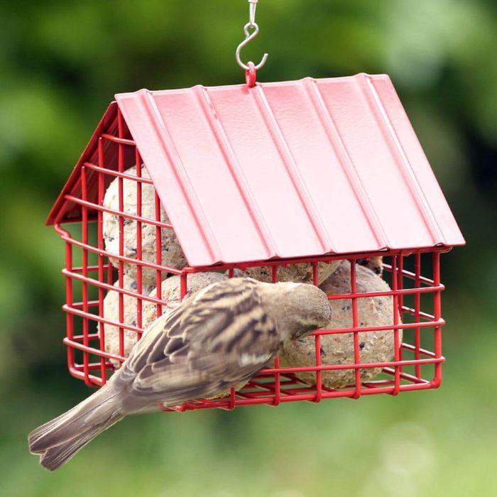 Roter Meisenknödelhalter aus Metall in Cottageform für ca. 6 Meisenknödel ohne Netz. Mit Gitterkonstruktion und Aufhängedraht für kleine Gartenvögel.
