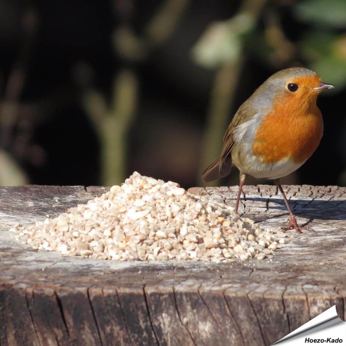 Hochwertige Futtermischung für kleine Vögel | Original | Alles für Vögel