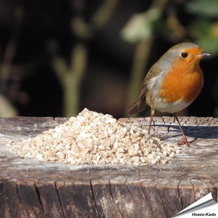 Hochwertiges Wildvogelfutter speziell für kleine Vogelarten ✔️ Mit Sonnenblumenkernen und gehackten Erdnüssen ✔️ Ganzjährig füttern ➤ Bestelle bei www.allesfuervoegel.de