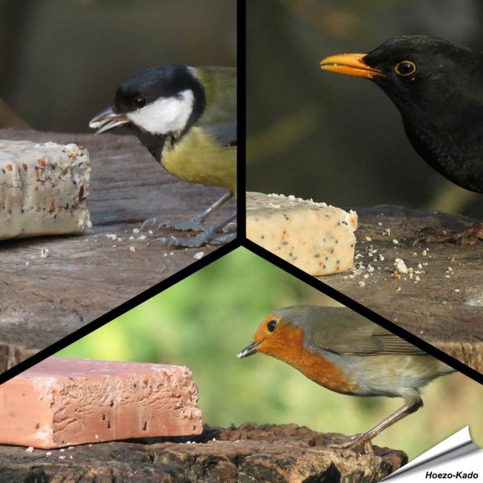 MIXPack - Energieblöcke Beeren, Insekten und Mehlwürmer (12 x 280g)
