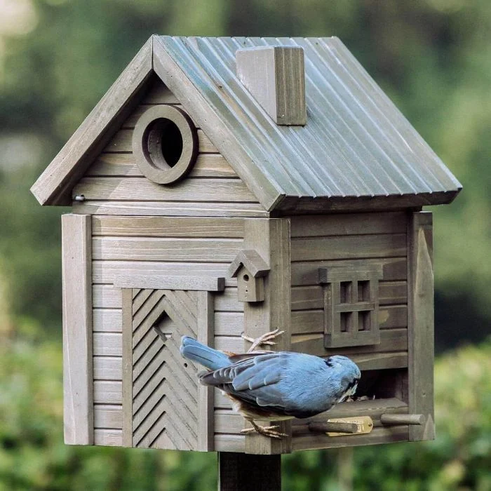 Kleiber mit blaugrauem Gefieder und schwarzem Augenstreif an der Futteröffnung des Multiholk Grüne Umbra von Wildlife Garden, mit rundem Einflugloch und braungrüner Holzfassade.