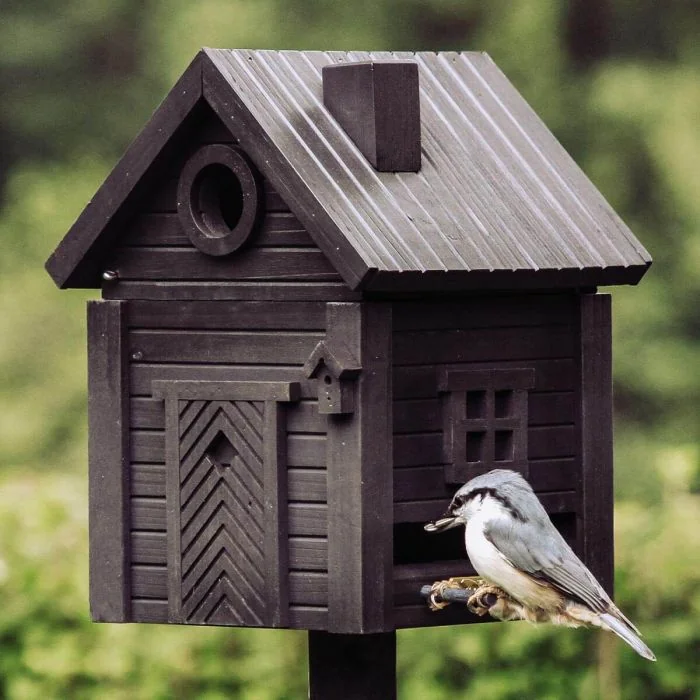 Multiholk - Rußschwarz von Wildlife Garden: Nistkasten und Futterhaus in einem für kleinere Gartenvögel, mit tiefschwarzer Farbgebung aus der Naturpigment-Reihe.