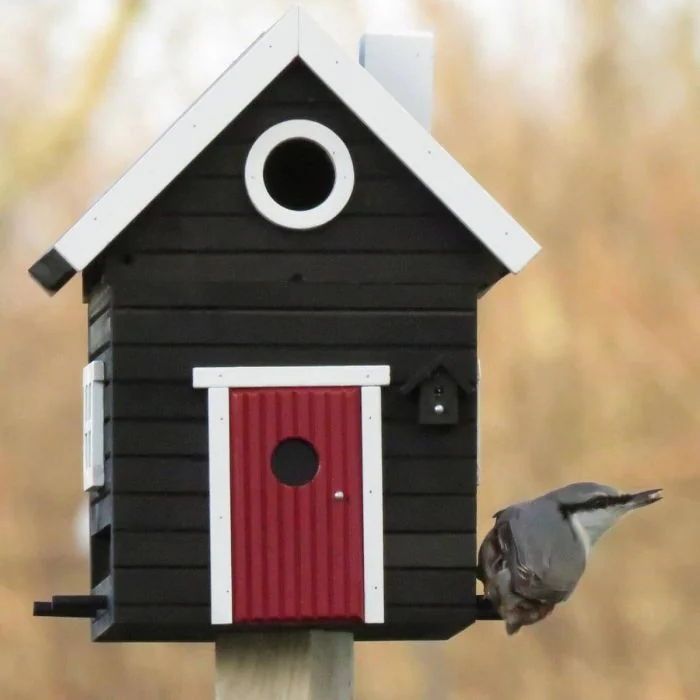 Multiholk Schwarzes Haus von Wildlife Garden in Schwarz, mit 32 mm Einflugöffnung. Nistkasten im Frühjahr und Sommer, Futterhaus im Herbst und Winter.
