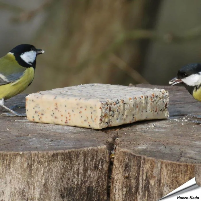 Futtertafel mit Insekten für Wildvögel