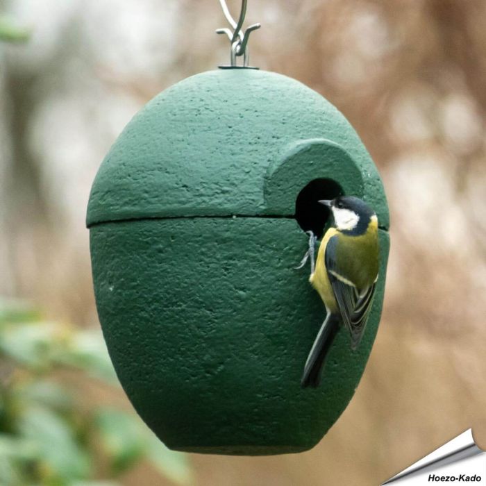 Holzbeton Nistkasten Malaga | grün | 32mm Einflugloch | Alles für Vögel