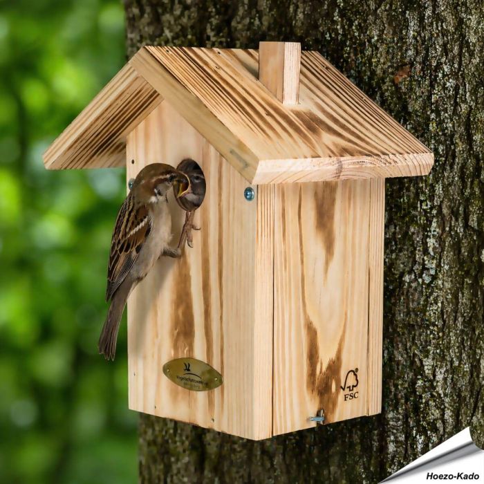Nistkasten Anson aus Holz ✔️ 34 mmEinflugöffnung für Spatzen & Co. ✔️ FSC 100% Holz ✔️ Mit praktischer Seitenklappe ➤ Jetzt bei Alles für Vögel entdecken