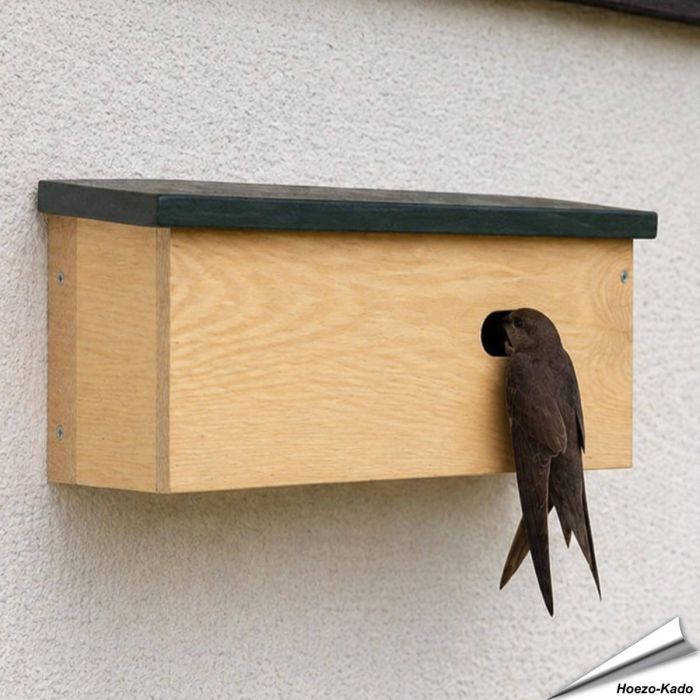 Nistkasten, speziell für den Mauersegler (Apus apus) ✔️ Komplett aus FSC-Holz gefertigt ✔️ Mit Seitenklappe für eine einfache Reinigung ➤ Online bestellen bei Alles für Vögel